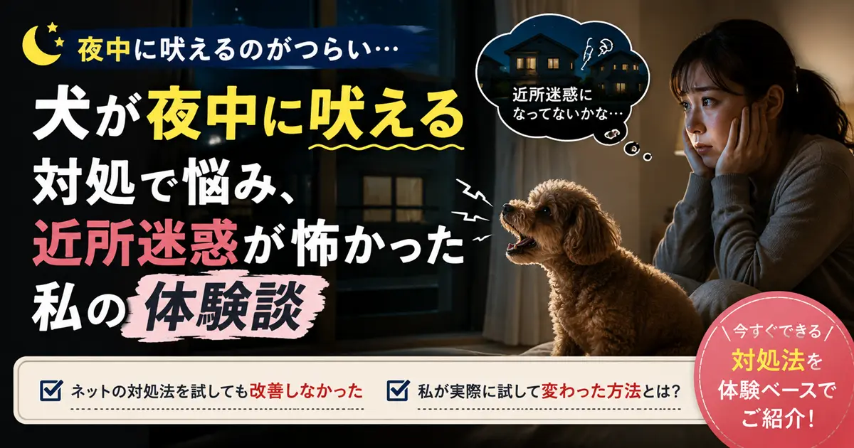 犬が夜中に吠えて悩み、対処法を探していた飼い主の体験談